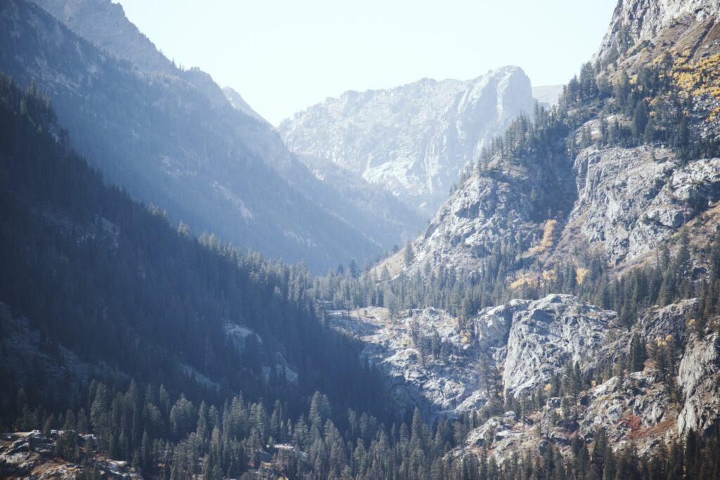 Saira 4WWW6abyUl8 unsplash